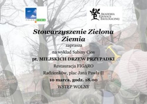 Ilustracja artykułu: "Wykład "Przypadki miejskich drzew""