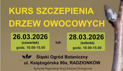 Ilustracja artykułu: "Kurs szczepienia drzewek"