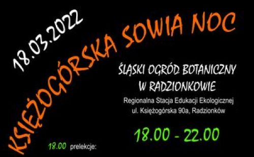 Ilustracja artykułu: "Księżogórska Sowia Noc"
