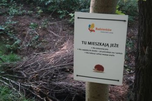Ilustracja artykułu: "Dba(j)my o zwierzęta"
