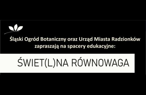 Ilustracja artykułu: "Spacer pn. "Świet(l)na równowaga""